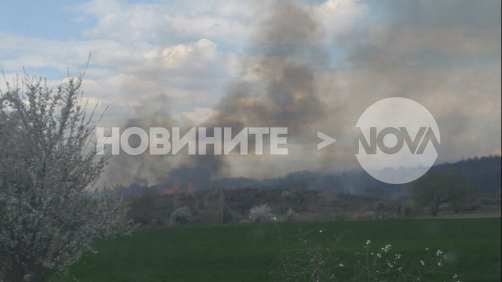 Стотици декари лозя горят край главния път София-Благоевград