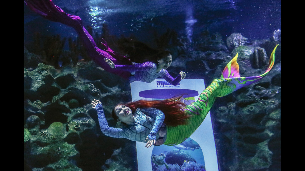 Светът отбелязва Деня на океаните