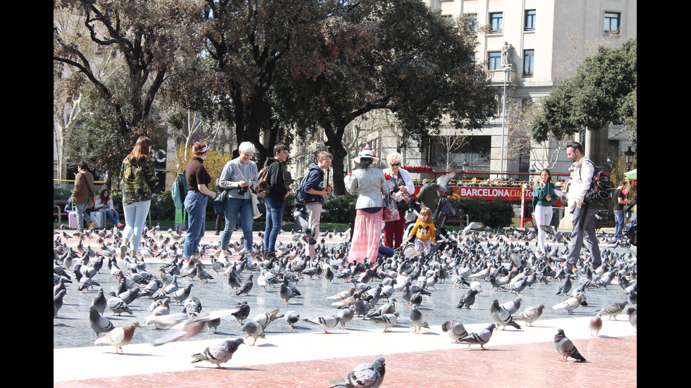 Красотата на Каталуния