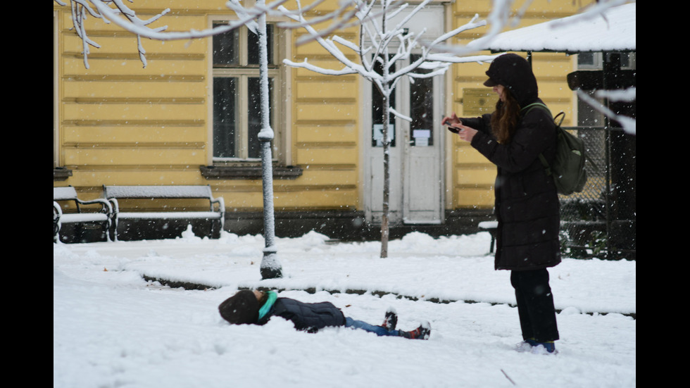 Обилен снеговалеж в София