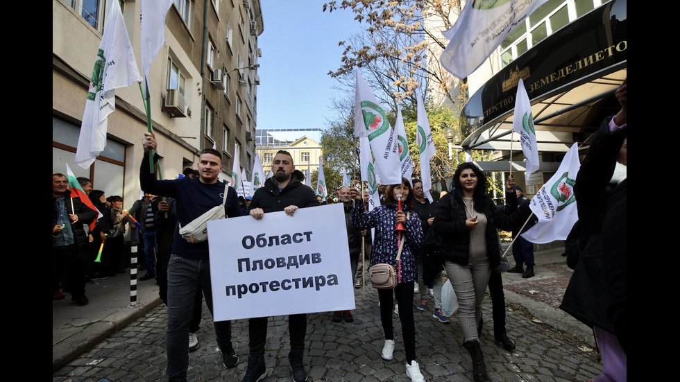 Протест на лозари в София