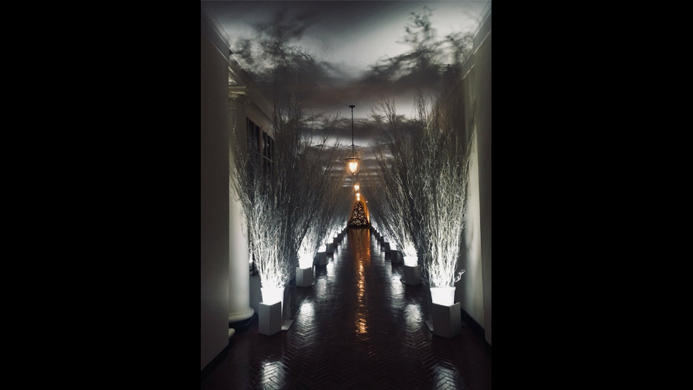 "Зловещата" коледна украса на Белия дом