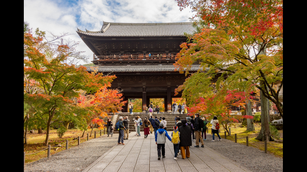 Есенна Япония - страната, в която ходят на "лов за листа"