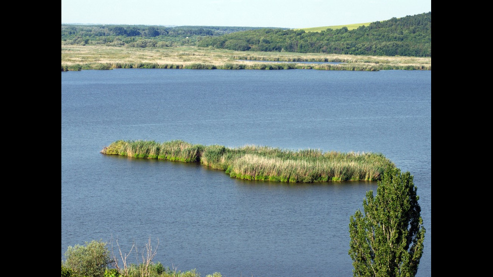 Красотата на резервата "Сребърна"