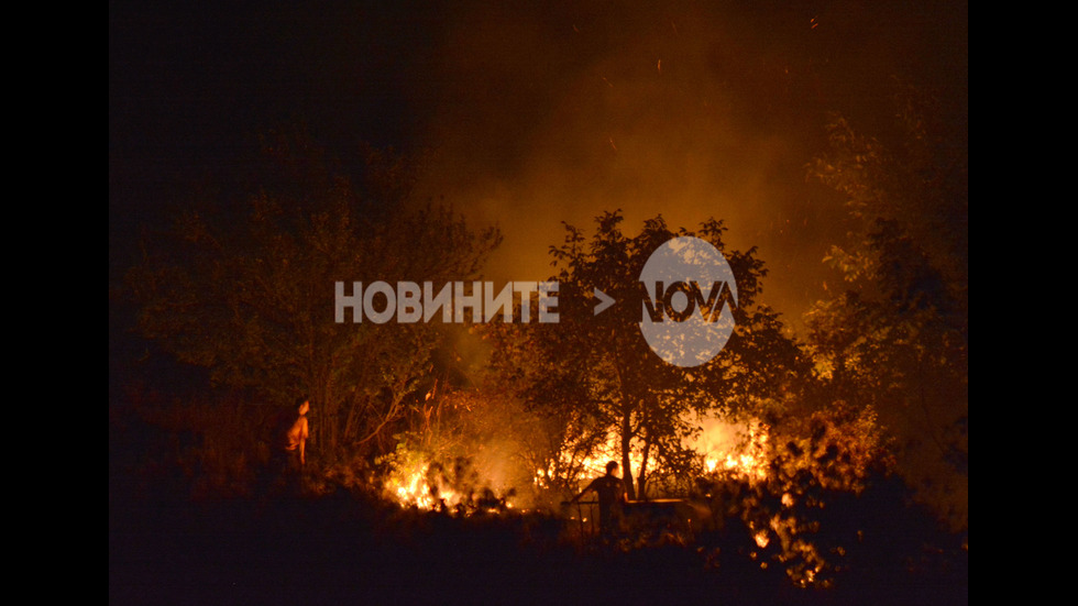 Запалени стърнища вдигнаха на крак пожарникари от Ловеч