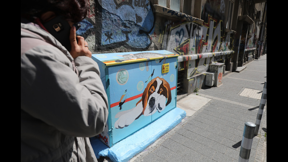 Художничка превърна улица в София в галерия на открито