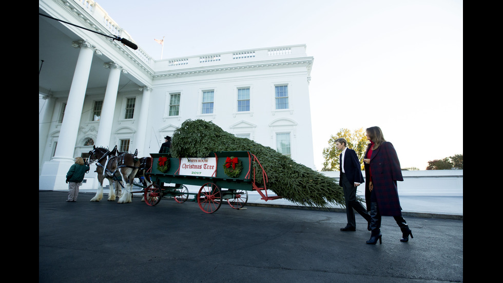 Мелания и синът й приеха коледната елха за Белия дом
