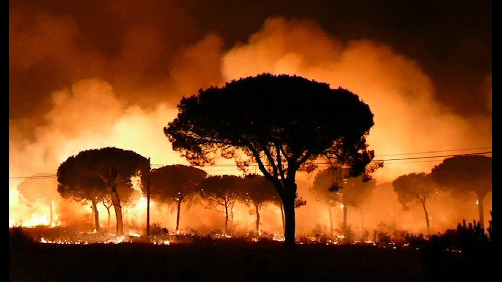 Над 1500 евакуирани заради пожар в природен парк в Испания