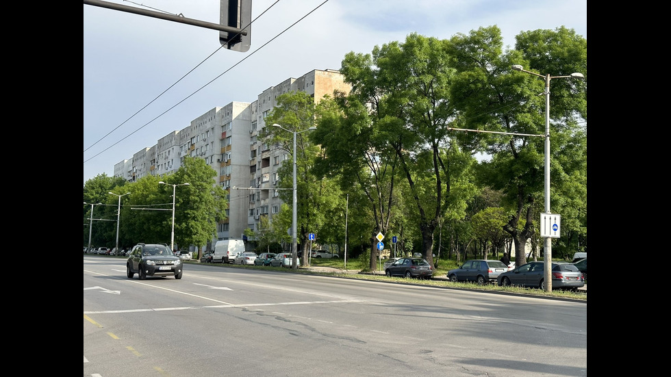 2023 година В СНИМКИ
