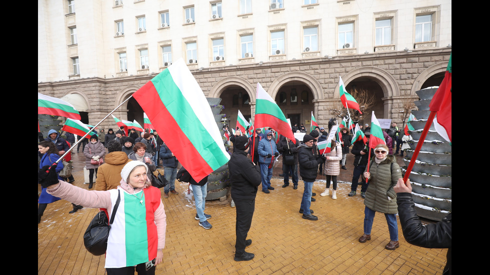 „Величие“ протестира пред Конституционния съд