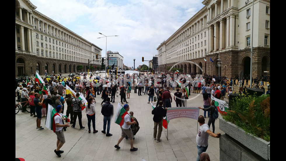 Животновъди на протест с чанове, вълна и овче мляко