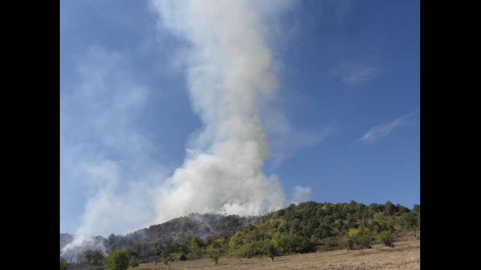 Голям пожар гори край Бобошево