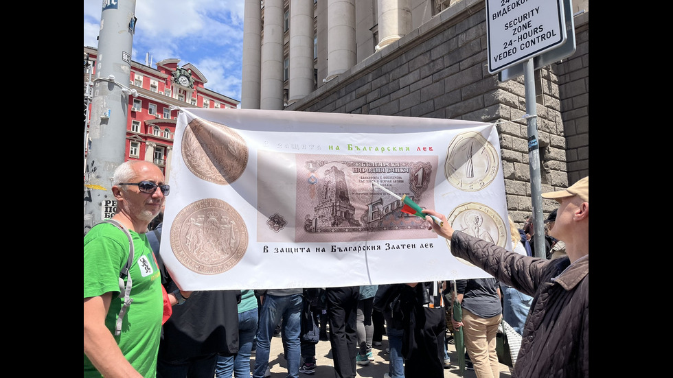 Протести в защита на българския лев в цялата страна