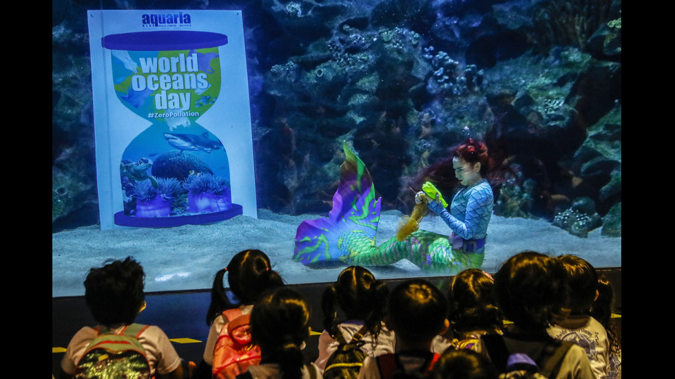 Светът отбелязва Деня на океаните