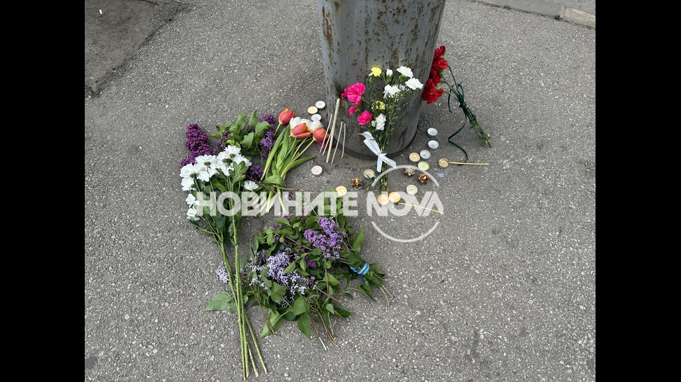 Протест в памет на пометените от млад шофьор пешеходци на бул. "Сливница"