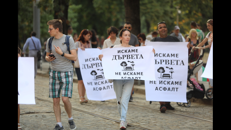 Протест срещу изсичането на дървета на улица "Опълченска"