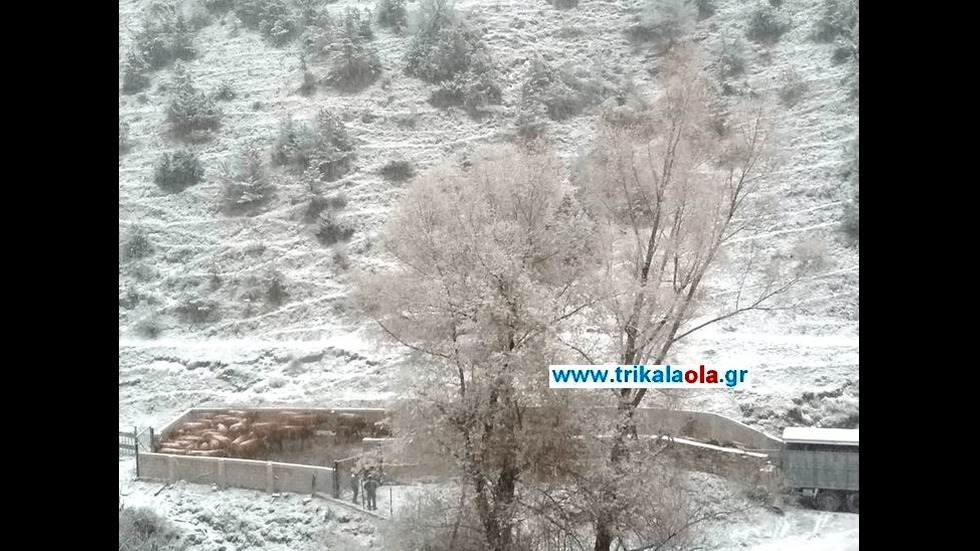 Първи сняг за тази зима заваля в Гърция