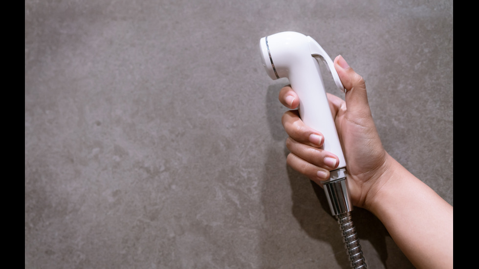 Тоалетни особености: Какъв е етикетът в различните държави