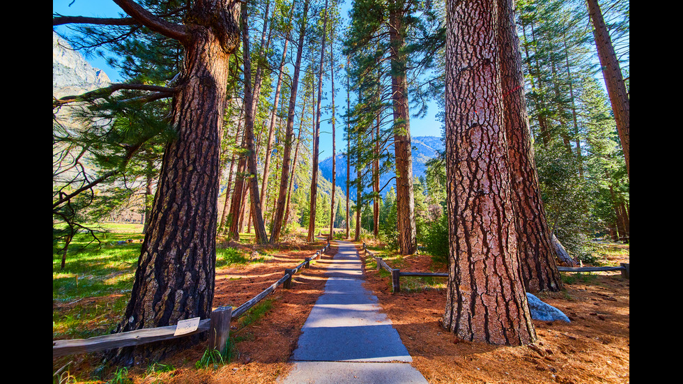 Национален парк „Йосемити” - живото изкуство на природата
