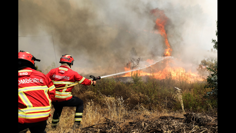 Поне 20 души са ранени при десетки горски пожари в Португалия