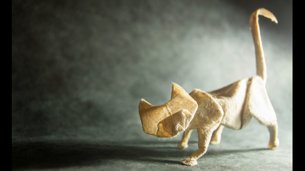 20 невероятни оригами животни