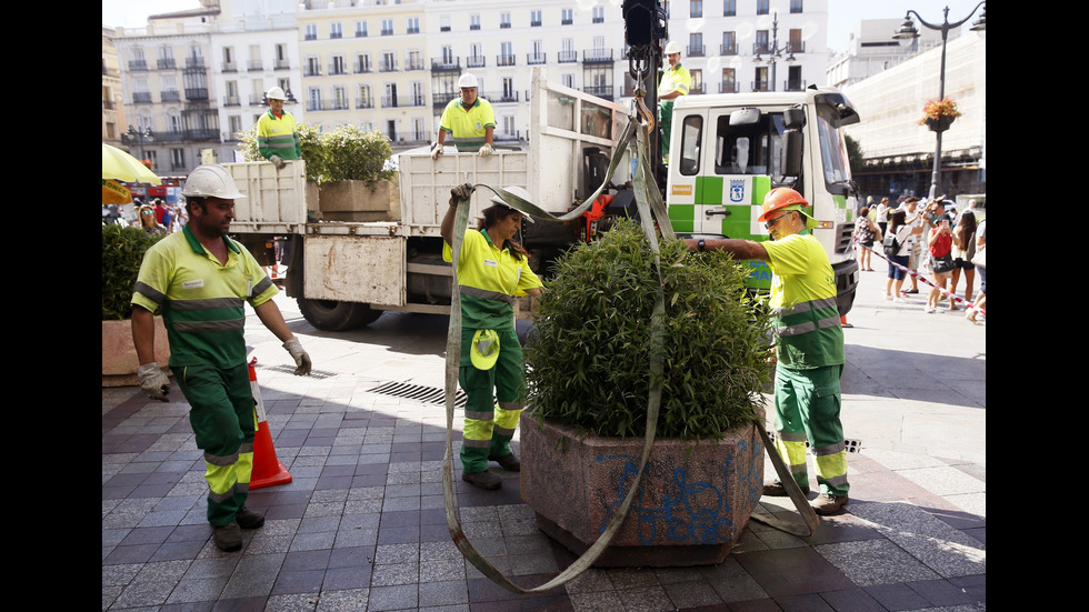 Бетонни саксии ще пазят пешеходците в Мадрид
