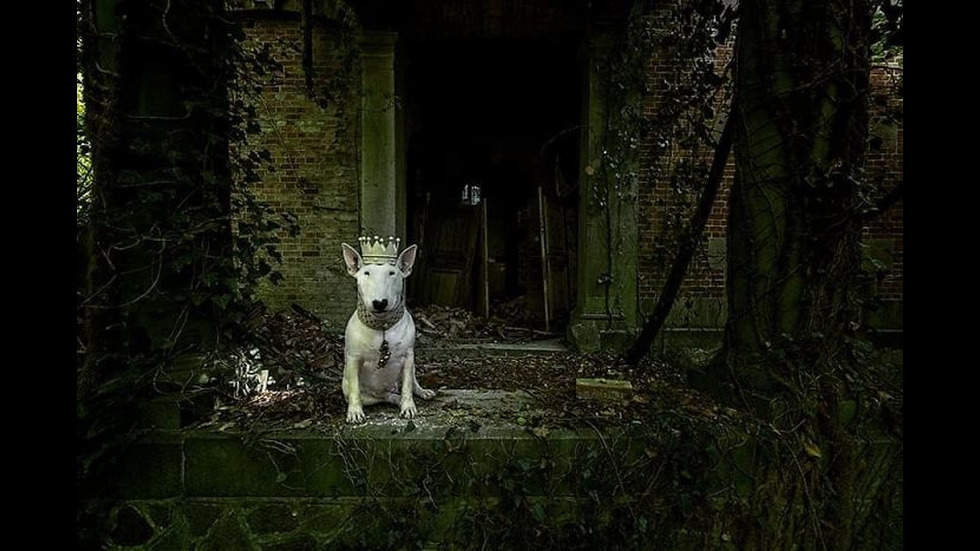 Куче позира в изоставени сгради