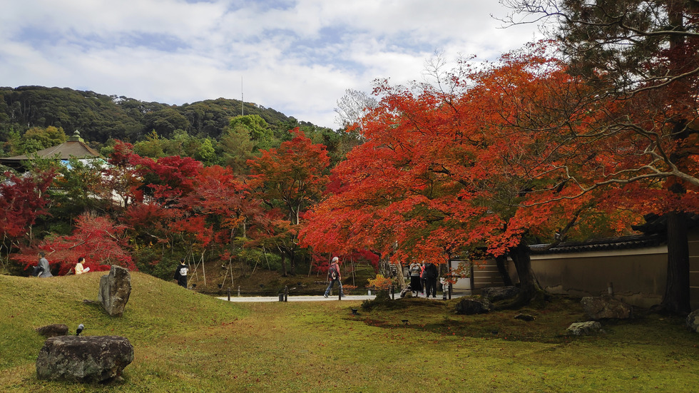 Есенна Япония - страната, в която ходят на "лов за листа"