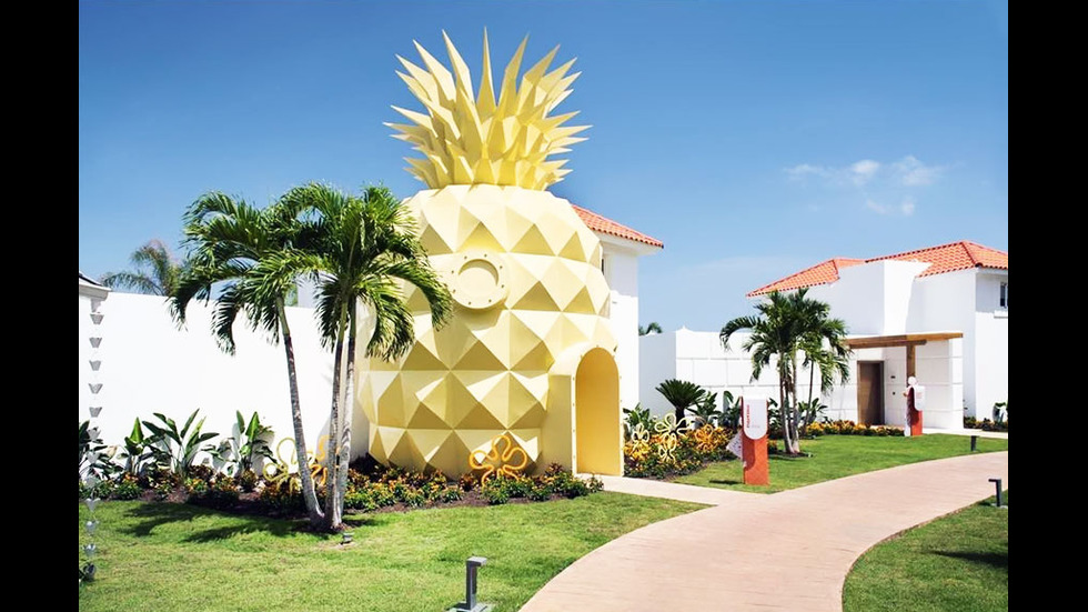 Първата вила ананас посреща посетители