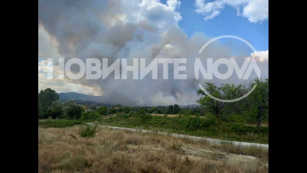 Голям пожар гори в Пазарджишко