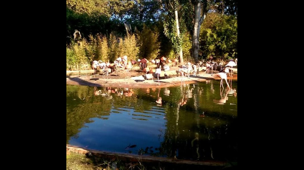 Михаела Филева показа снимки от екскурзията си до Барселона