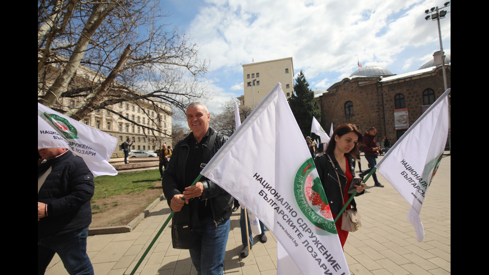 Лозари излязоха на протест