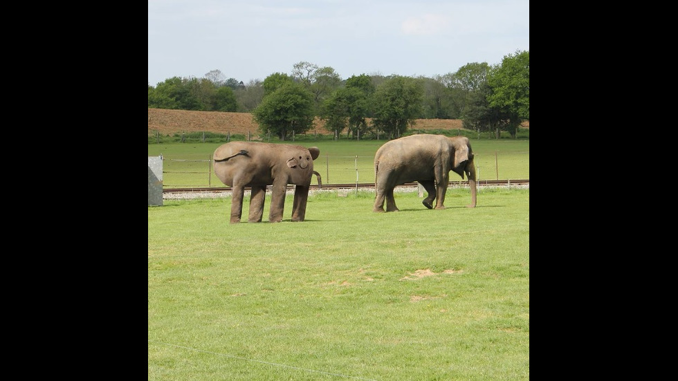 Баща създава уникални колажи с картините на 6-годишния си син