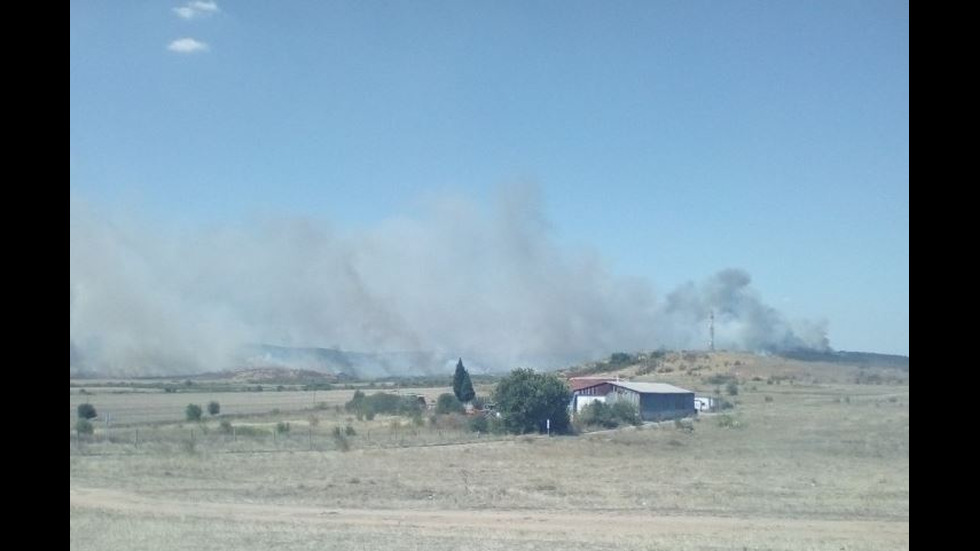 Голям пожар обхвана борова гора край Нова Загора