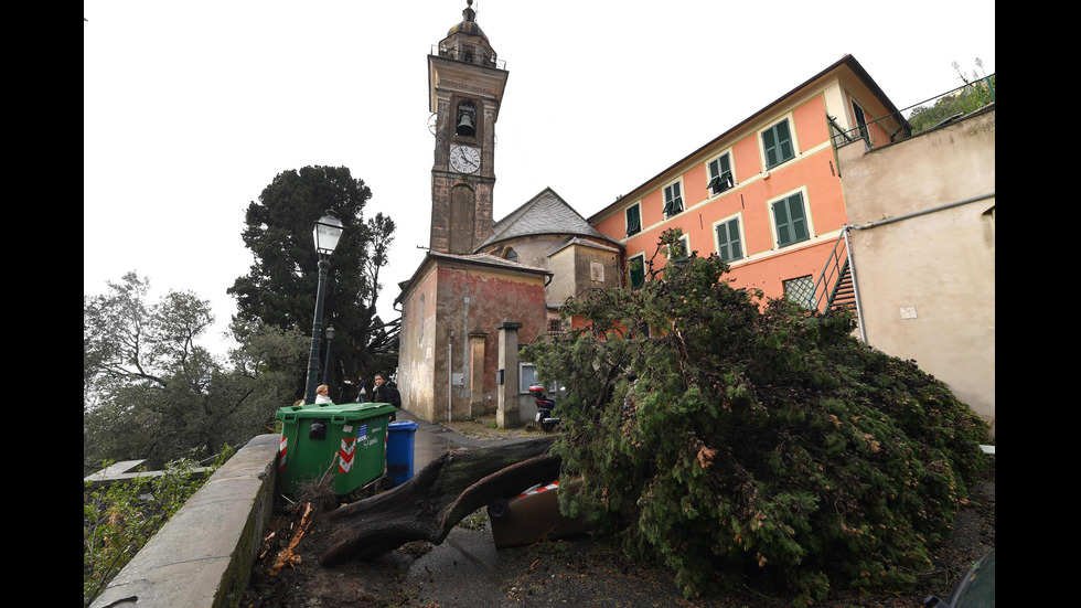 Мощна буря изкорени огромни дървета в Италия