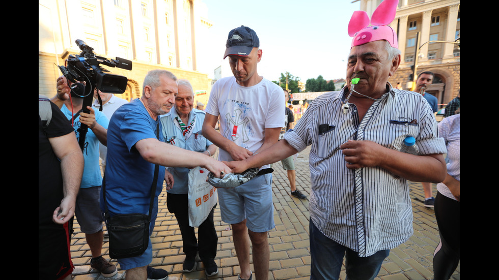 25 ДЕН: Протестиращи на шествие в центъра на София