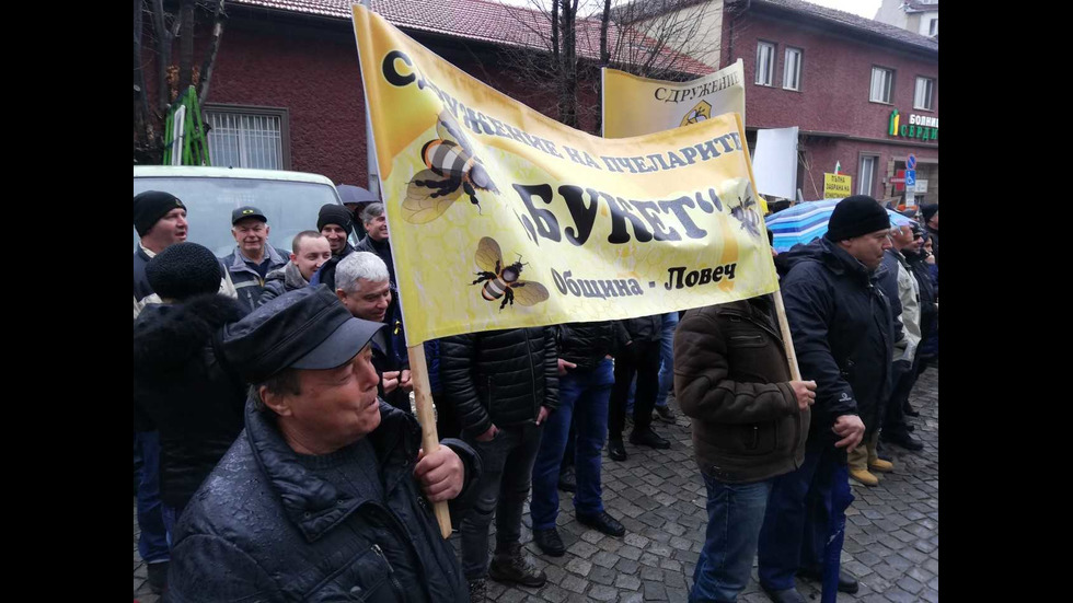 Протест на пчеларите в София
