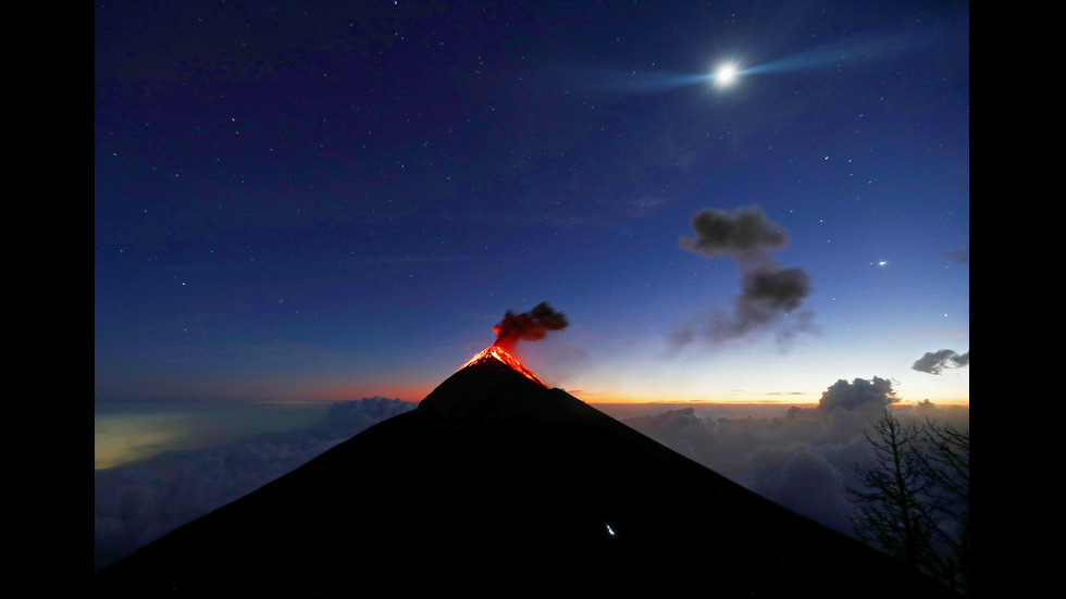 Новините на 2019-а в снимки
