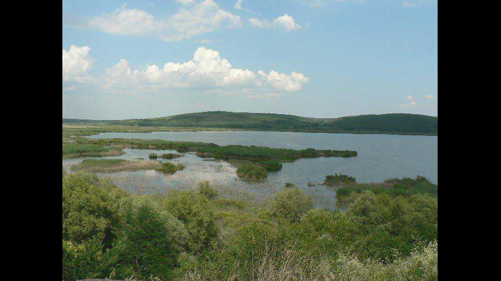 Красотата на резервата "Сребърна"