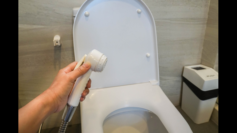 Тоалетни особености: Какъв е етикетът в различните държави