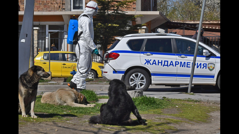 Поставиха КПП-та в махалите в София