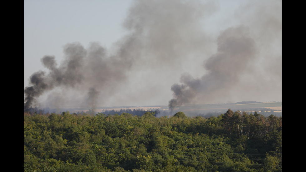 Огнеборци гасят пожар в гора край Русе