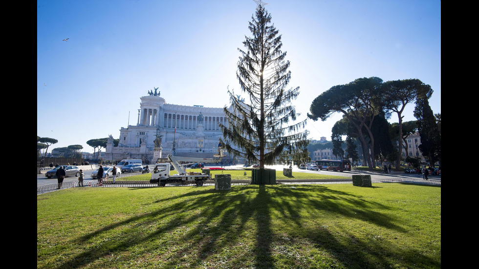 Проскубаното коледно дръвче на Рим може да бъде изложено в музей