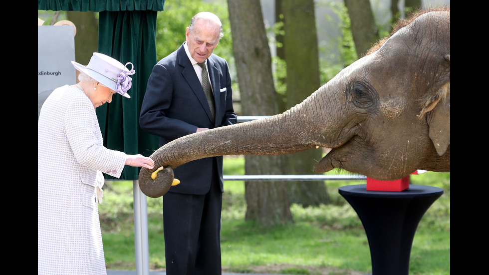 Кралица Елизабет нахрани слон
