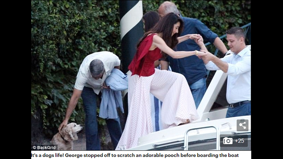 Амал и Джордж Клуни демонстрираха любовта си