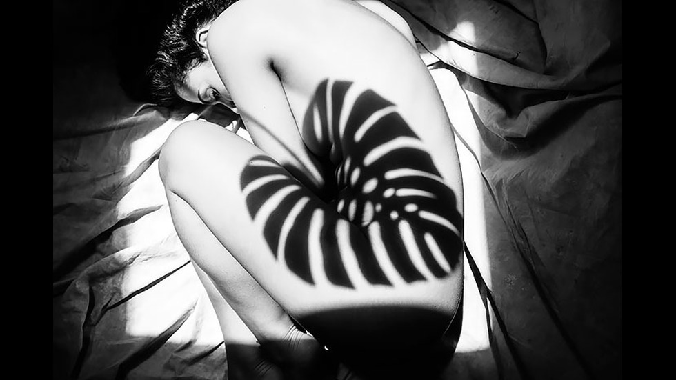 15 фотографи, които знаят как да използват сенките