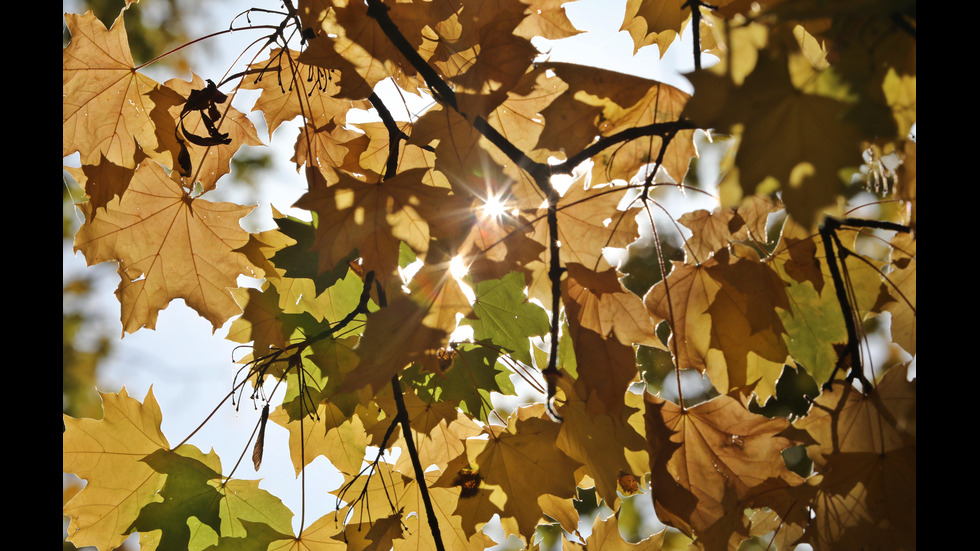 Топла, златна есен в "Северния парк" на столицата