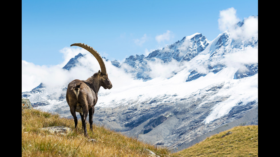 Разходка из най-красивите национални паркове в Европа