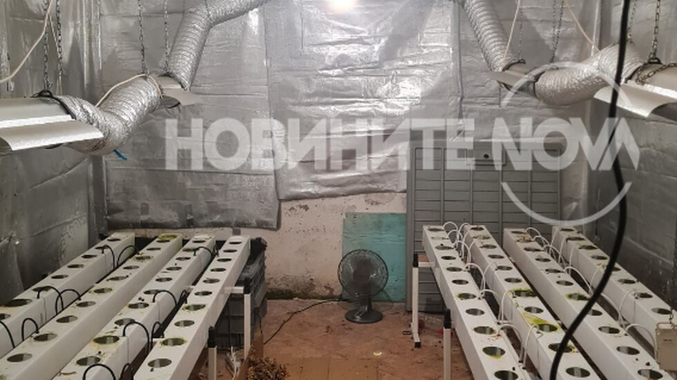 Разкриха високотехнологична оранжерия за канабис в къща в София