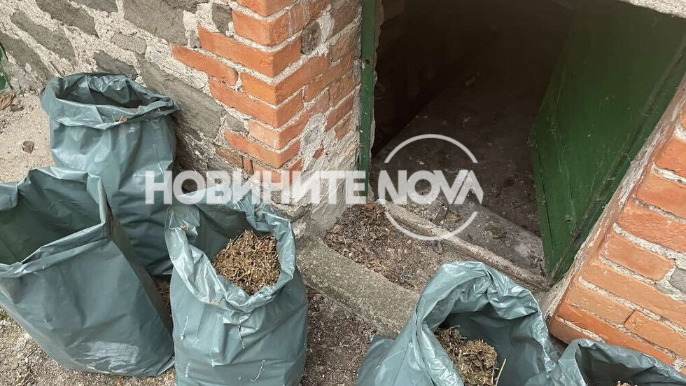 Задържаха голямо количество наркотици при две спецакции в София и Ямбол